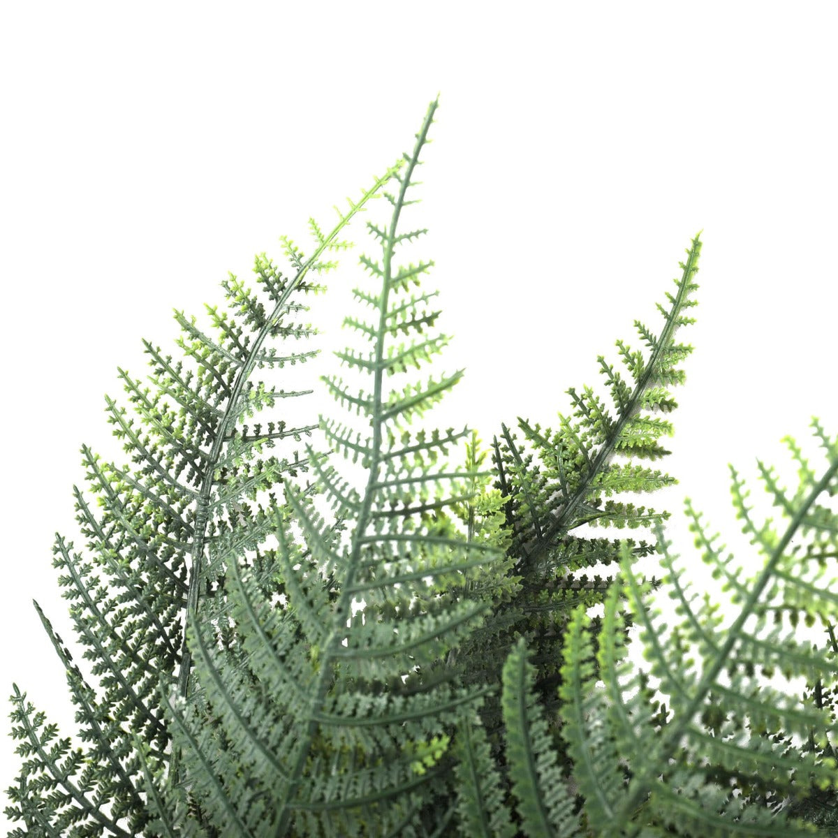 Premium Artificial Australian Fern UV Resistant 60cm 3