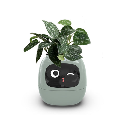 Smart Planter Endless Fun Over 49 Rich Expressions 7 Smart Sensors And AI Chips Make Raising Plants Easy And Fun 8