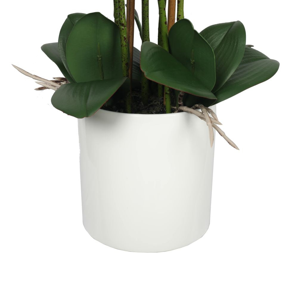 Large Multi-Stem White Potted Faux Orchid 65cm 3
