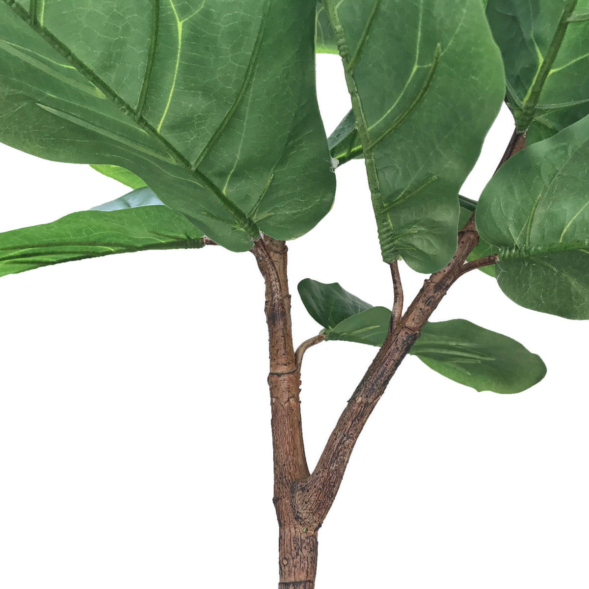 Tall Artificial Fiddle Leaf Fig 170cm 5