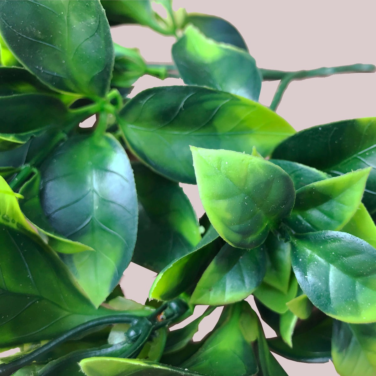 White Flowering Jasmine Stem UV Resistant 30cm 3