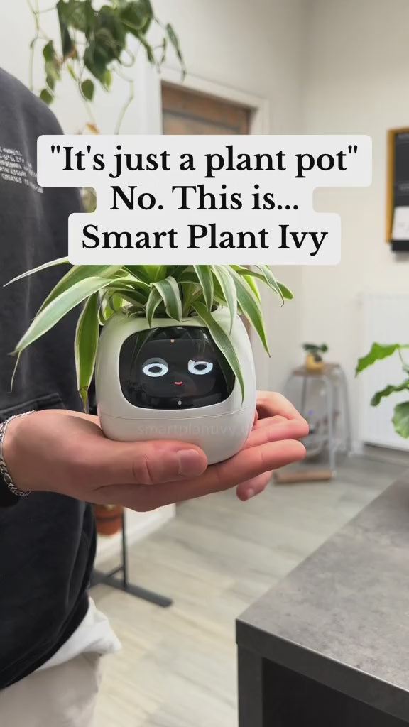 Smart Planter Endless Fun Over 49 Rich Expressions 7 Smart Sensors And AI Chips Make Raising Plants Easy And Fun