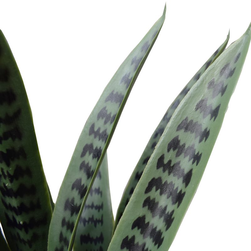 Artificial Snake Plant UV Resistant 60cm 3
