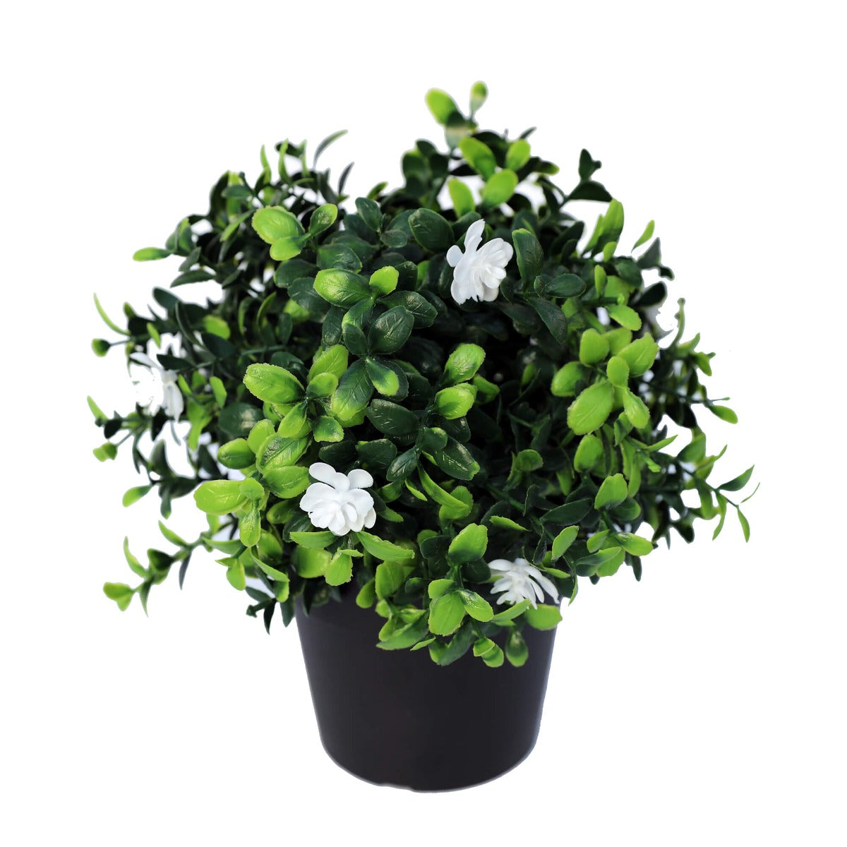 Small Potted Artificial Flowering Boxwood Plant UV Resistant 20cm 3