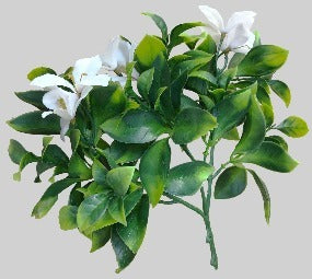 White Flowering Jasmine Stem UV Resistant 30cm 4